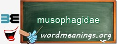 WordMeaning blackboard for musophagidae